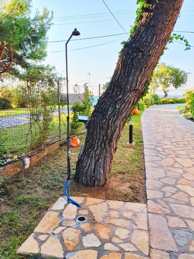 Makis&Fani Homes Agios Ioannis  Bagian luar foto